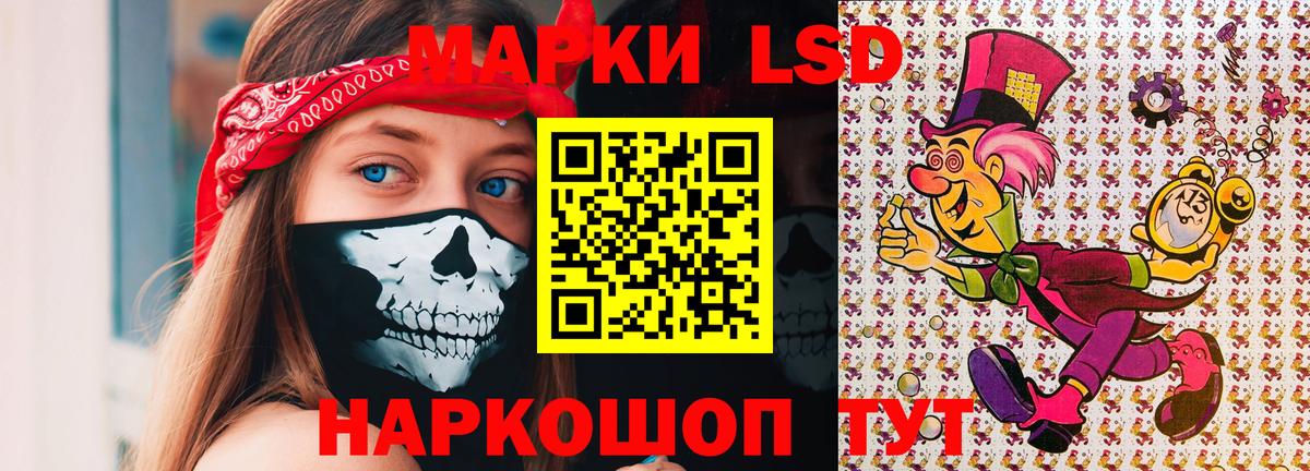 Псилоцибиновые грибы Гулькевичи