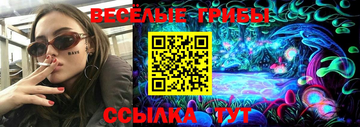 Псилоцибиновые грибы ЛСД  Вход с VPN  Псилоцибиновые грибы ЛСД  Гулькевичи 